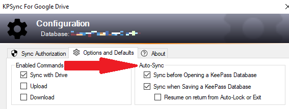 Auto Sync Config